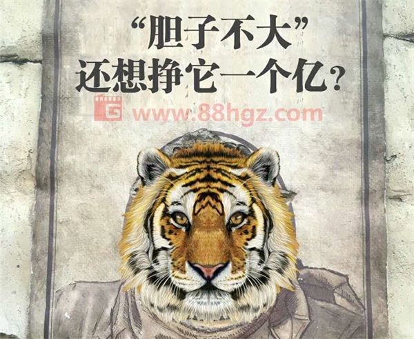 還能更高嗎？與迪瑪希共鳴的，是我們追隨企業宣傳片的信仰